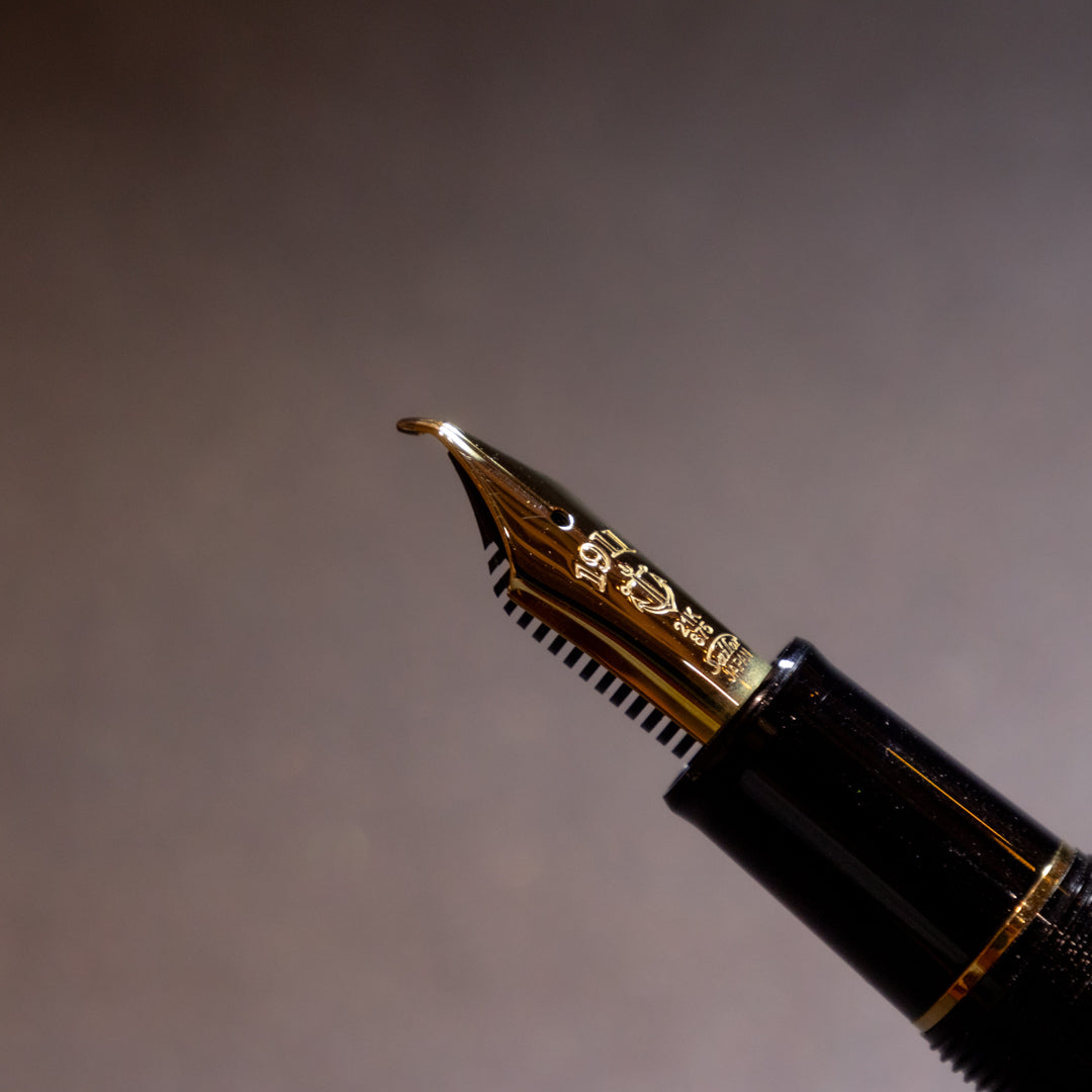 Special Nib Fountain Pen "Naginata Concorde" SAILOR