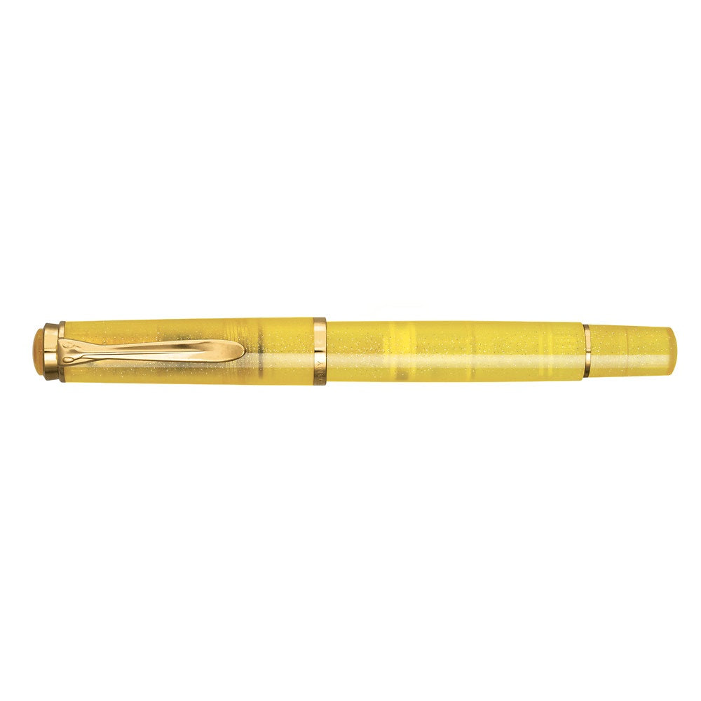 Pelikan M200 Pyrite Fountain Pen with the Edelstein Ink Set