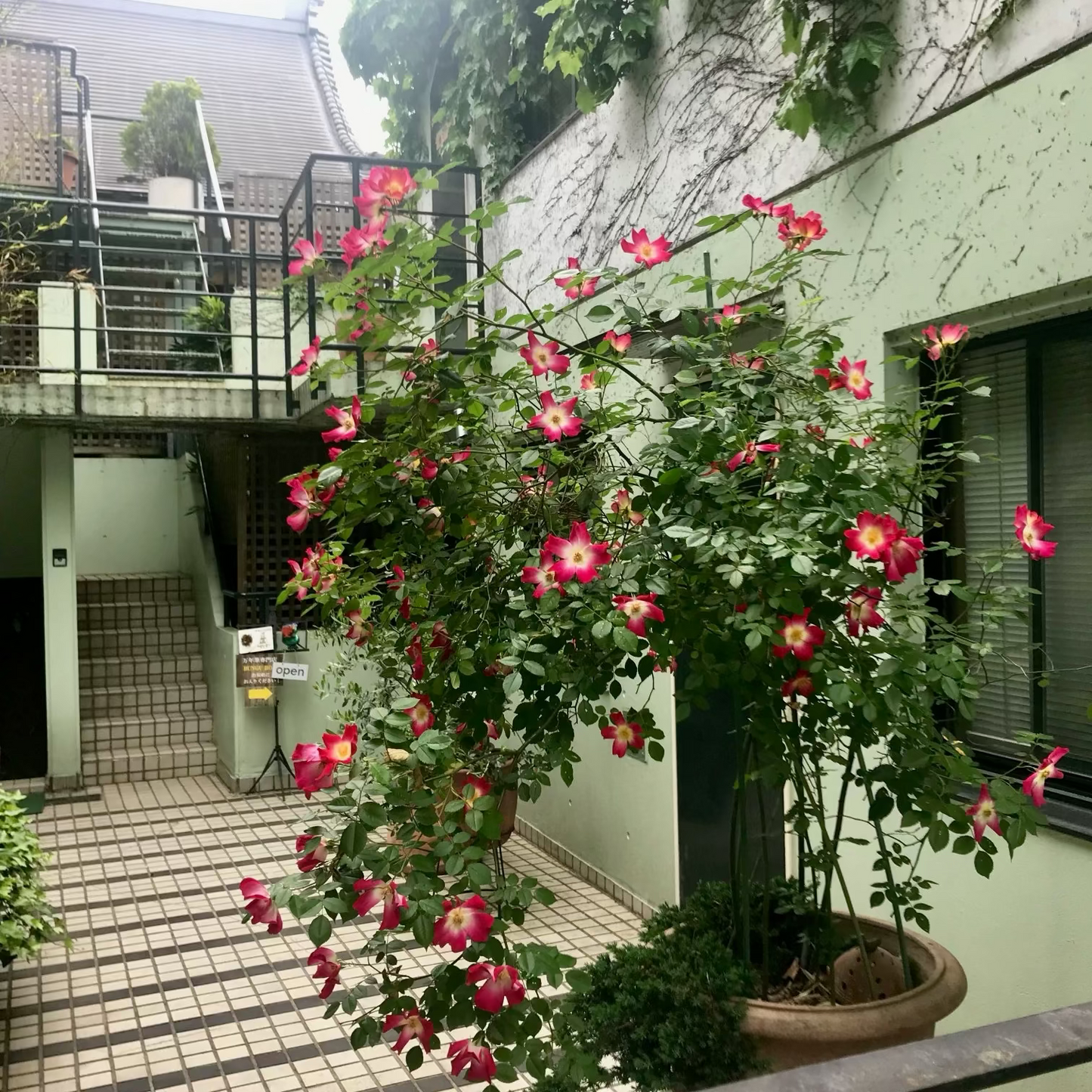 BUNGUBOX創業15周年記念パーティー参加費